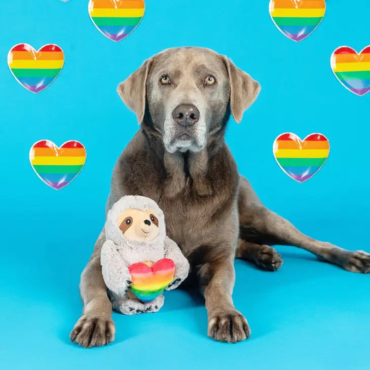 Pride Sloth Dog Toy