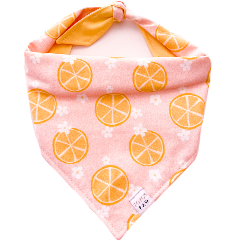 Lemon Delight Dog Bandana