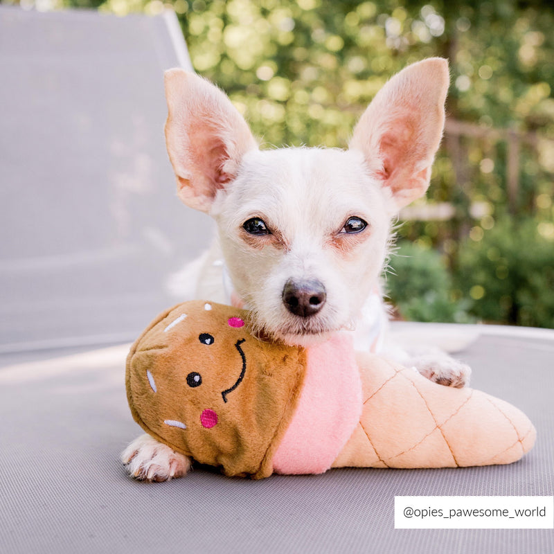 Ice Cream Dog Toy