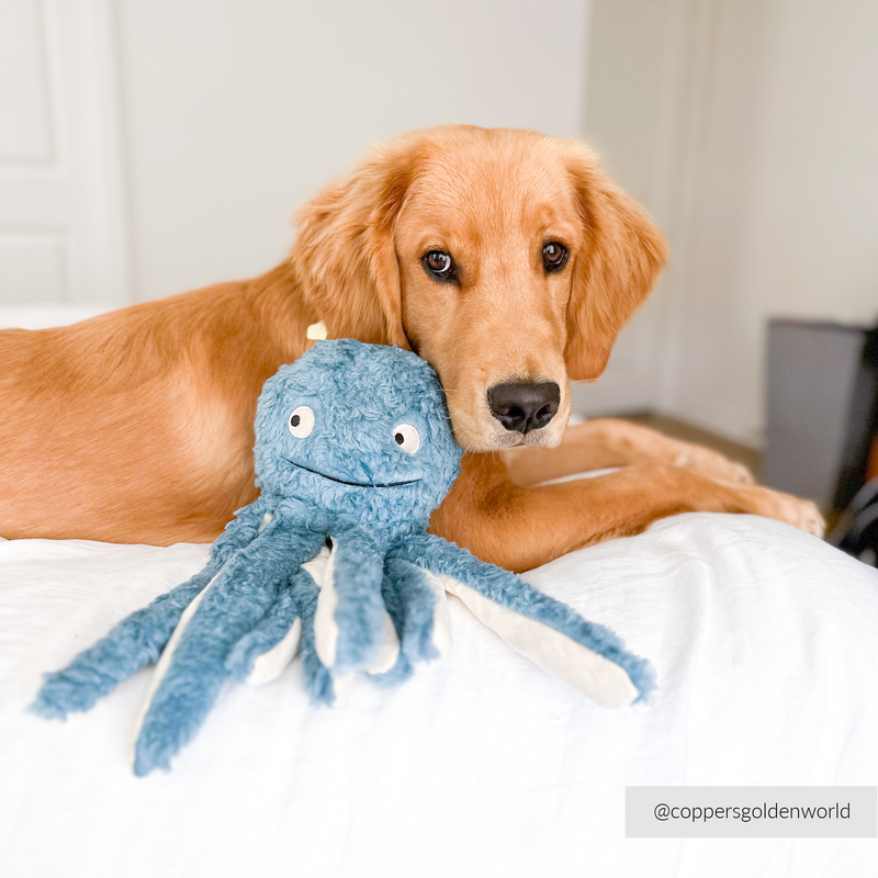 Earth Friendly Octopus Dog Toy