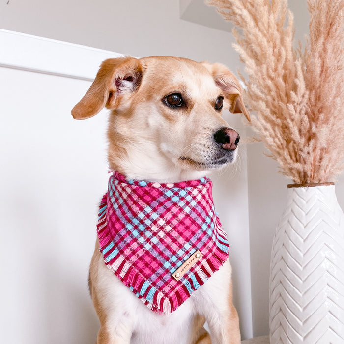THE ZOEY - Dog Flannel Fray Bandana