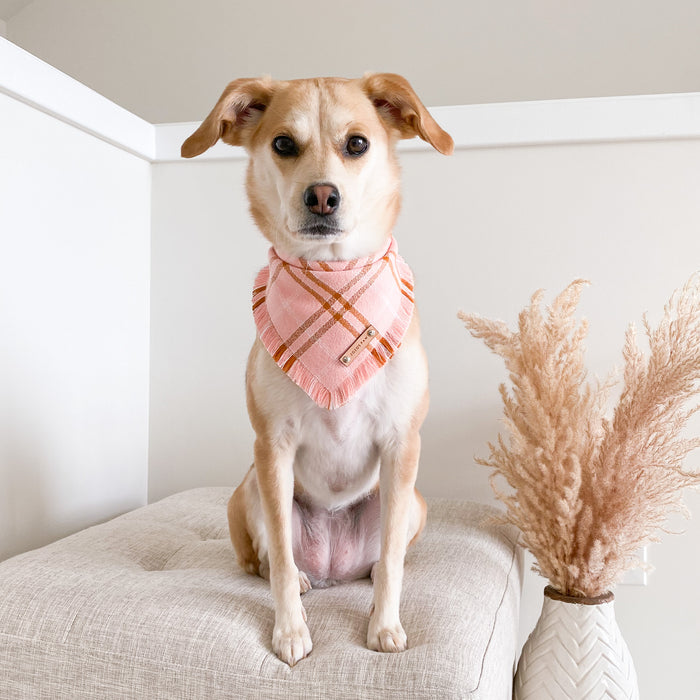 THE KARA - Dog Flannel Fray Bandana