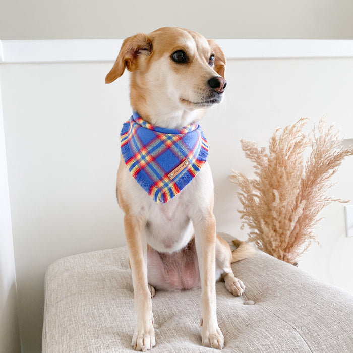 THE ERNIE - Dog Flannel Fray Bandana