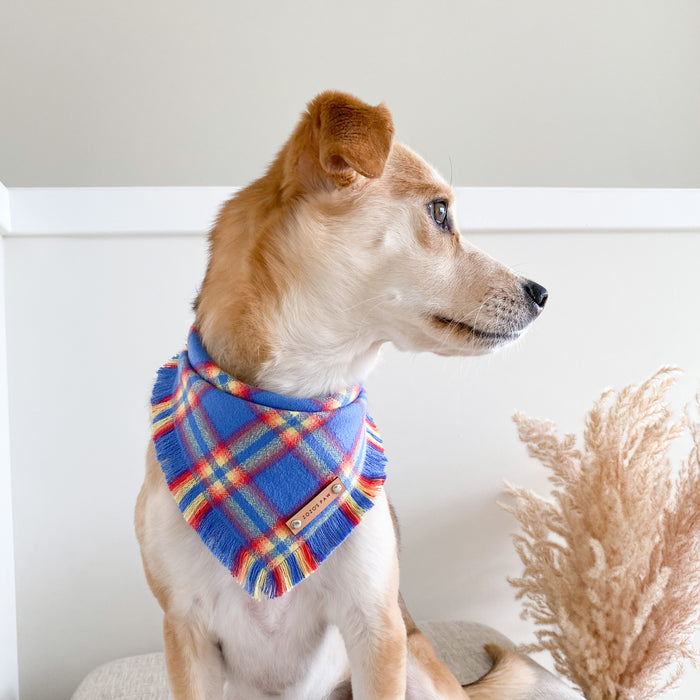 THE ERNIE - Dog Flannel Fray Bandana