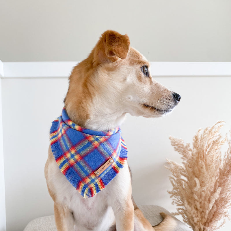 THE ERNIE - Dog Flannel Fray Bandana