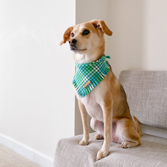 THE TRISTAN - Dog Flannel Fray Bandana