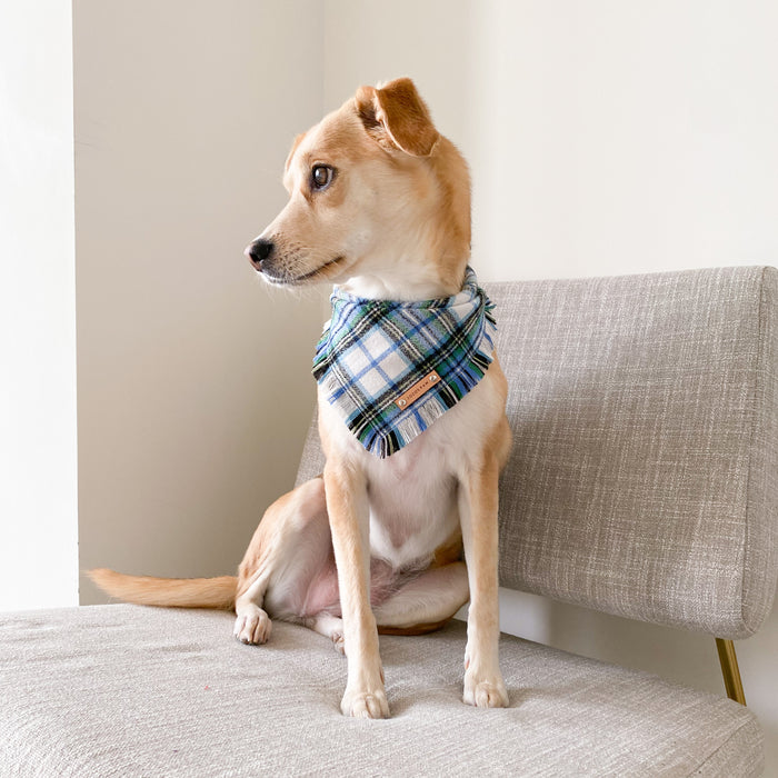 THE CALLUM - Dog Flannel Fray Bandana