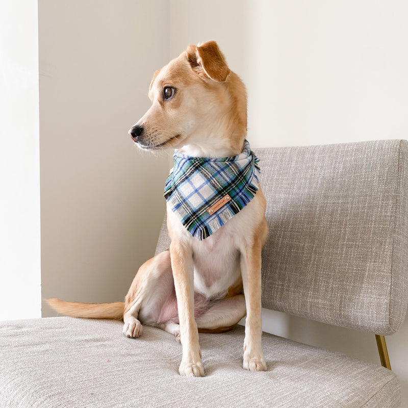THE CALLUM - Dog Flannel Fray Bandana