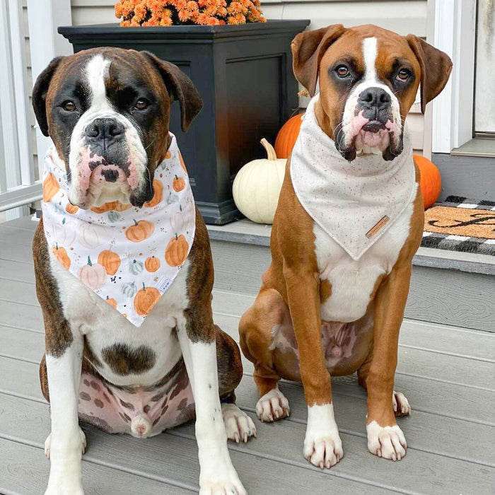 Toasted Marshmallow Dog Bandana