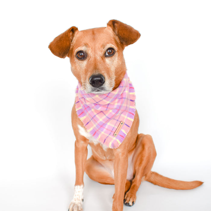THE JOSIE - Dog Flannel Fray Bandana