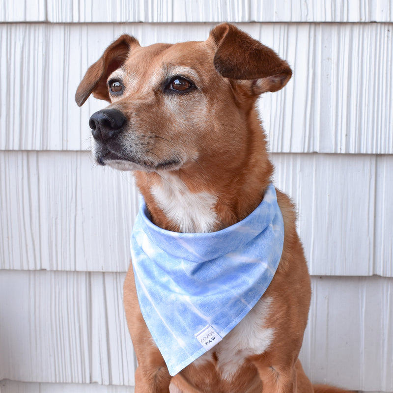 Blue Crush Dog Bandana