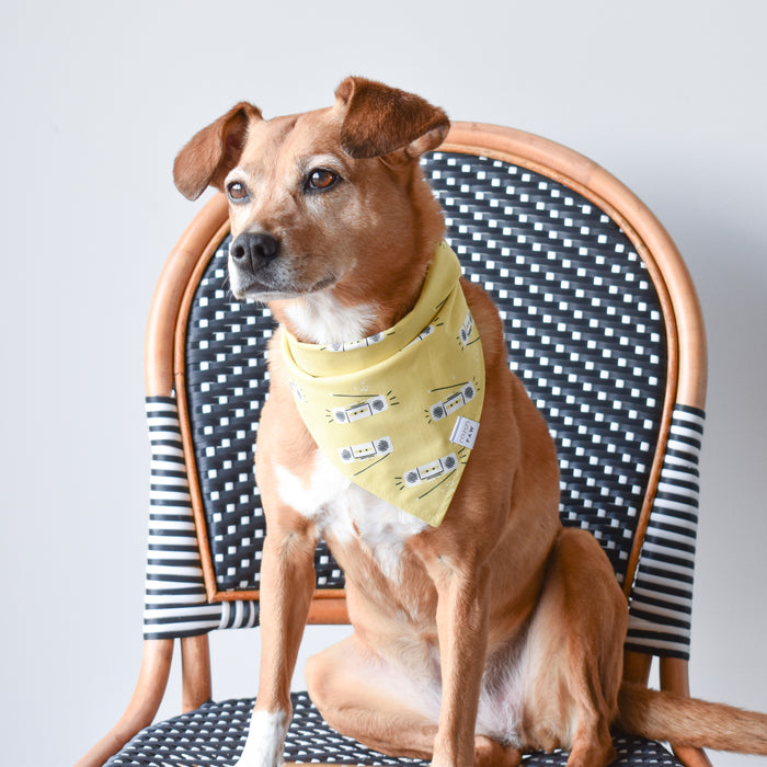 Boardwalk Beats Dog Bandana