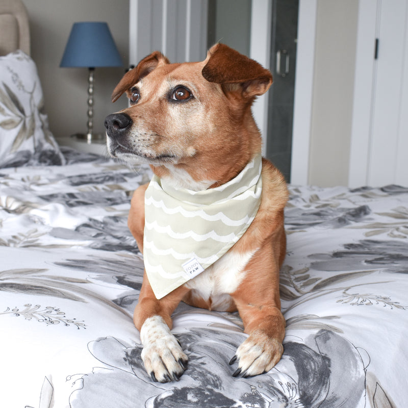 Sandcastle Waves Dog Bandana
