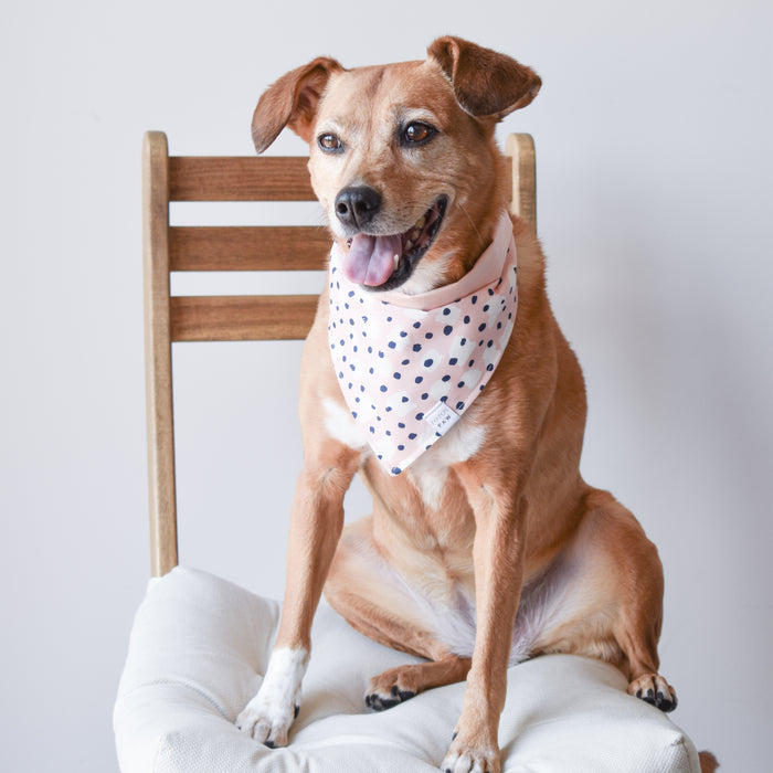 Spotted in the Wild Dog Bandana