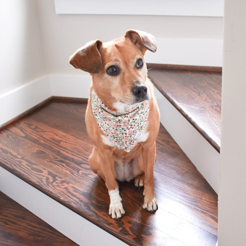 Blushing Blossoms Dog Bandana
