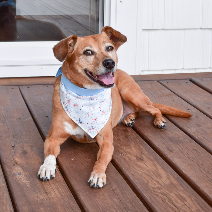 Firework Frenzy Dog Bandana
