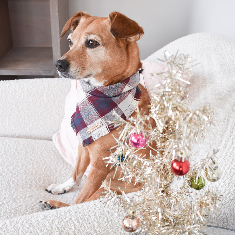 THE ARLINGTON - Dog Flannel Fray Bandana