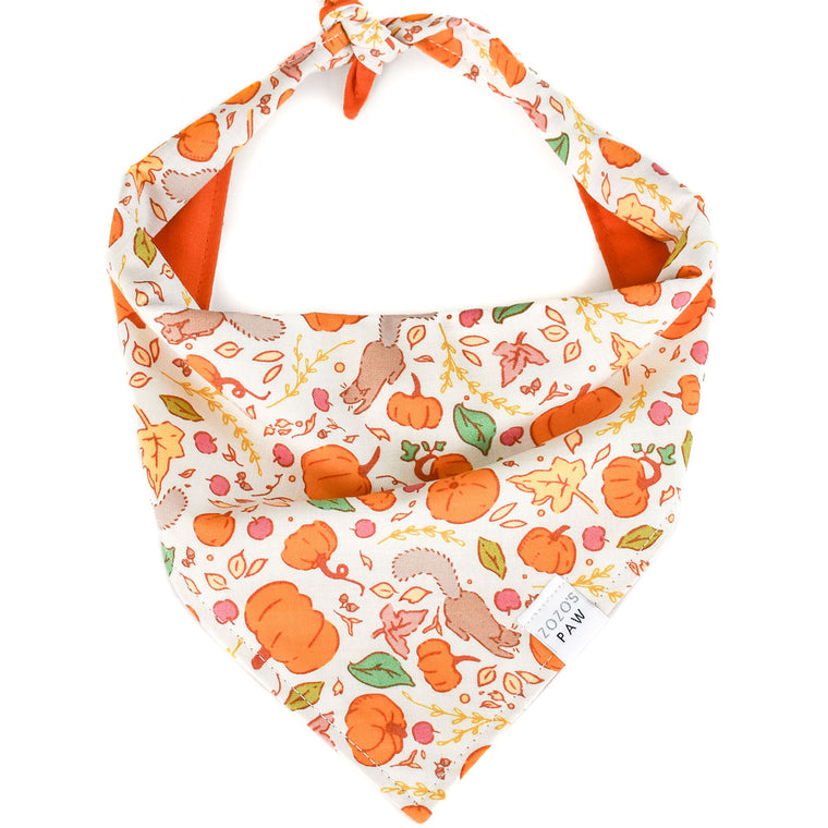 Autumn Adventures Dog Bandana