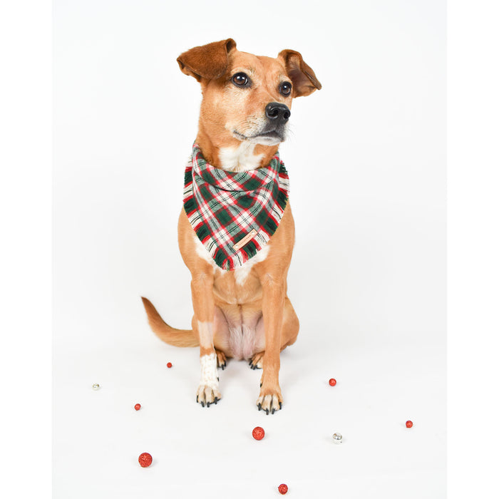 THE NOEL - Dog Flannel Fray Bandana