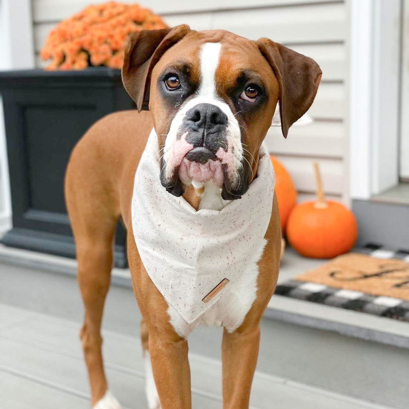 Toasted Marshmallow Dog Bandana