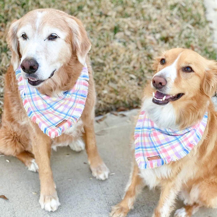 THE BAILEY - Dog Flannel Fray Bandana