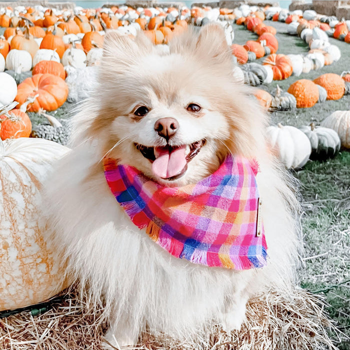 THE CALI - Dog Flannel Fray Bandana