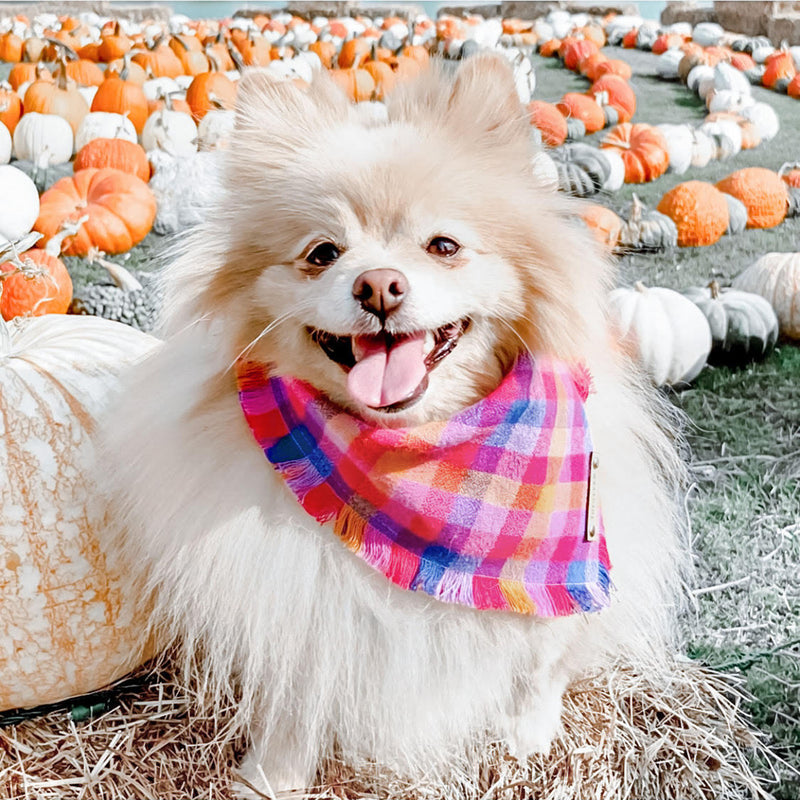 THE CALI - Dog Flannel Fray Bandana