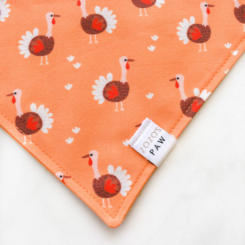 Turkey Time Dog Bandana