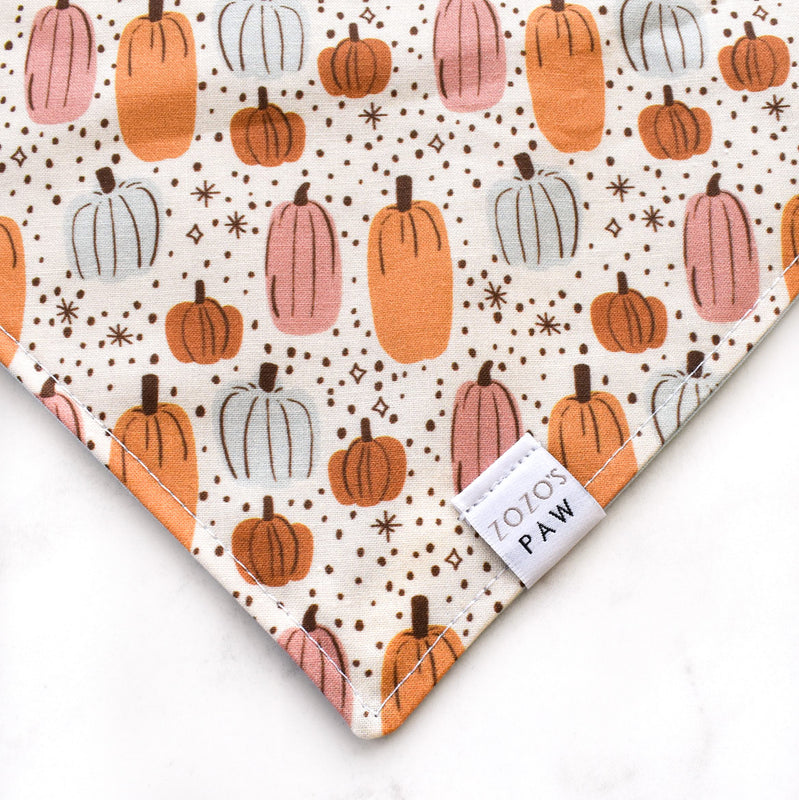 Pumpkin Magic Dog Bandana