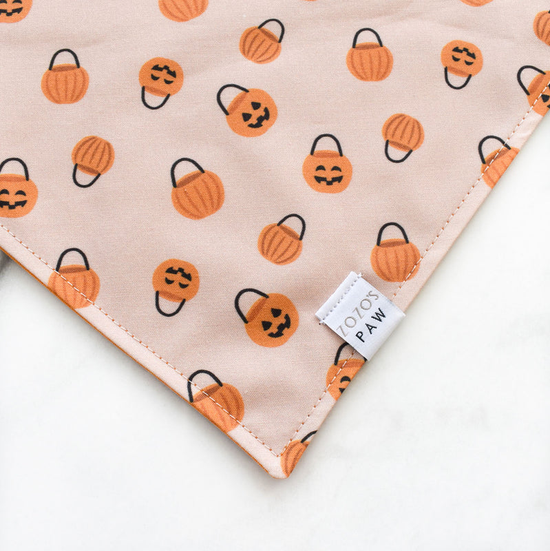 Pumpkin Party Dog Bandana
