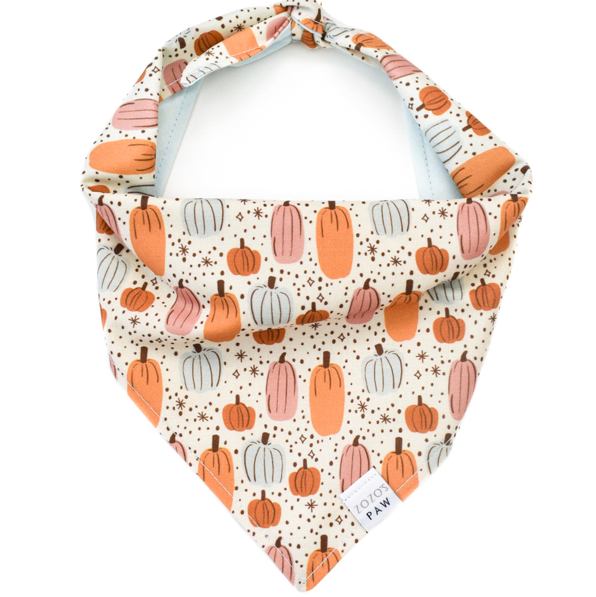 Pumpkin Magic Dog Bandana