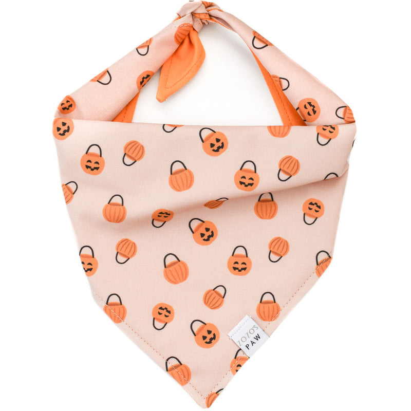 Pumpkin Party Dog Bandana