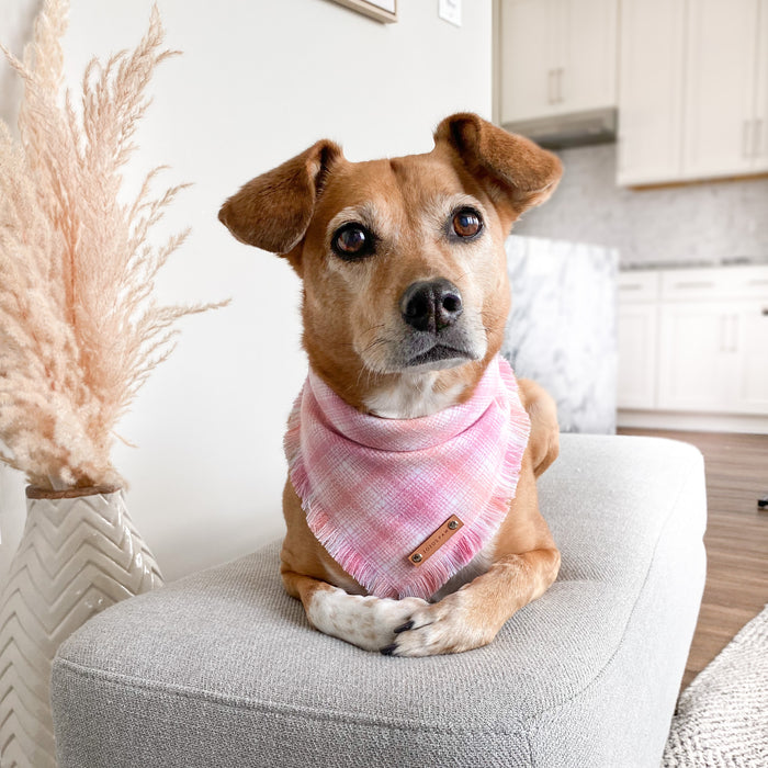 THE NATTIE - Dog Flannel Fray Bandana