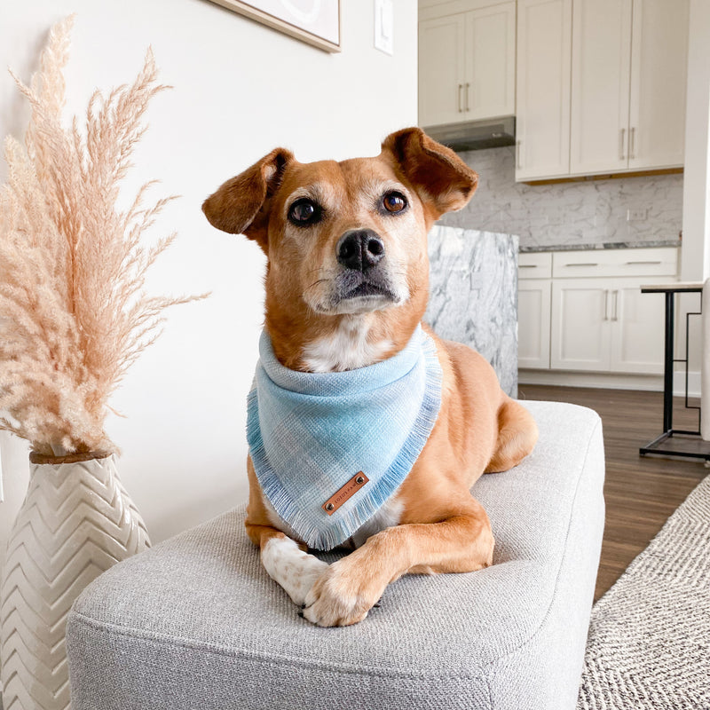 THE COVE - Dog Flannel Fray Bandana