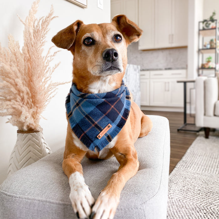 THE HARLOW - Dog Flannel Fray Bandana