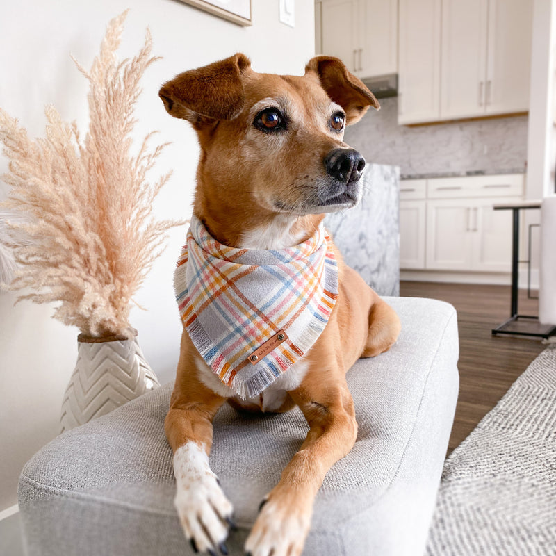 THE CAIRO - Dog Flannel Fray Bandana
