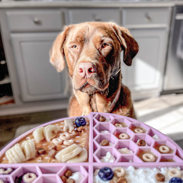 Dog Lick Mat in Sweet Lilac