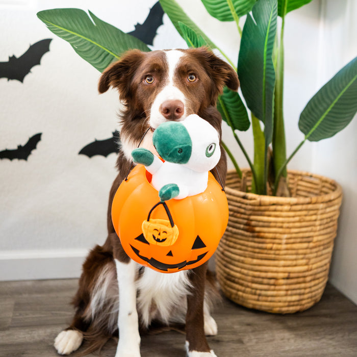 Halloween Ghost Dinosaur Dog Toy