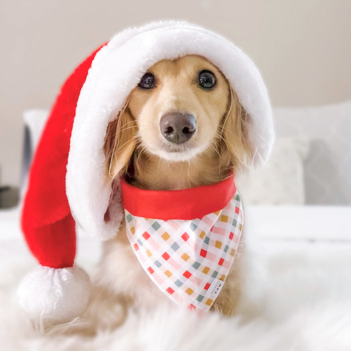 Noel Plaid Dog Bandana