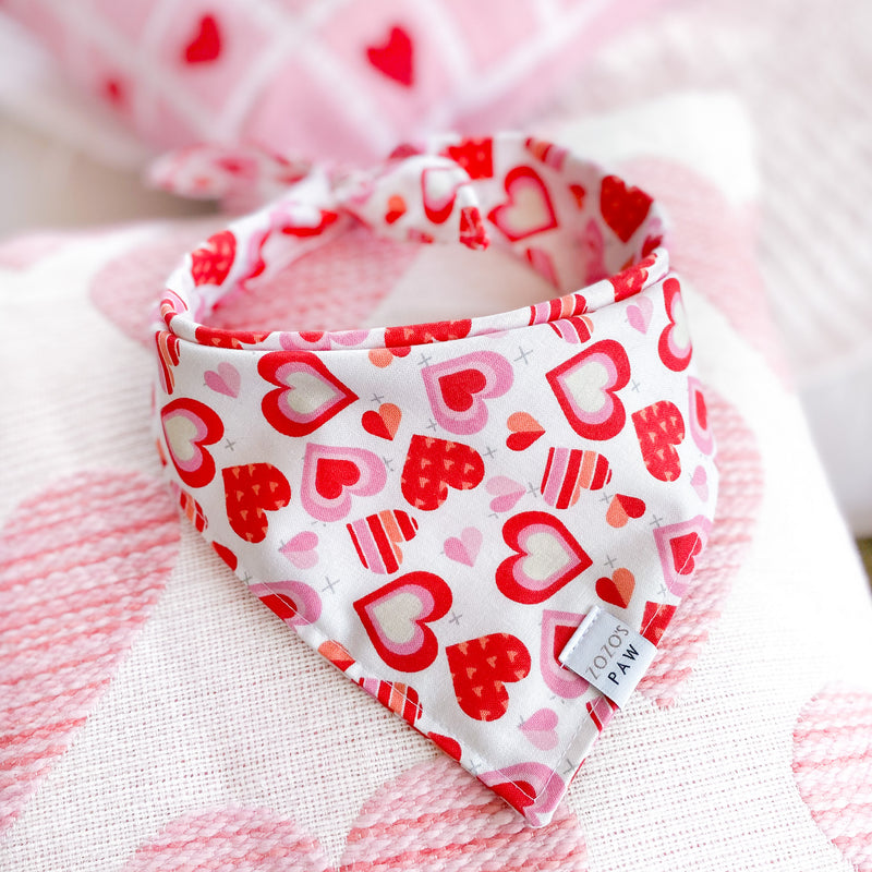 Soul In Love Dog Bandana
