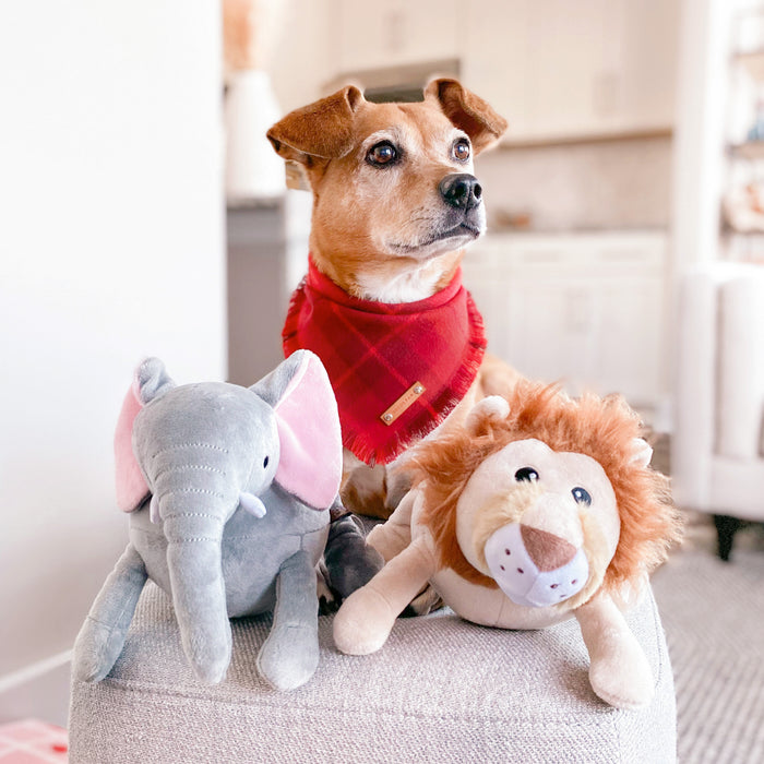 THE DALLAS - Dog Flannel Fray Bandana