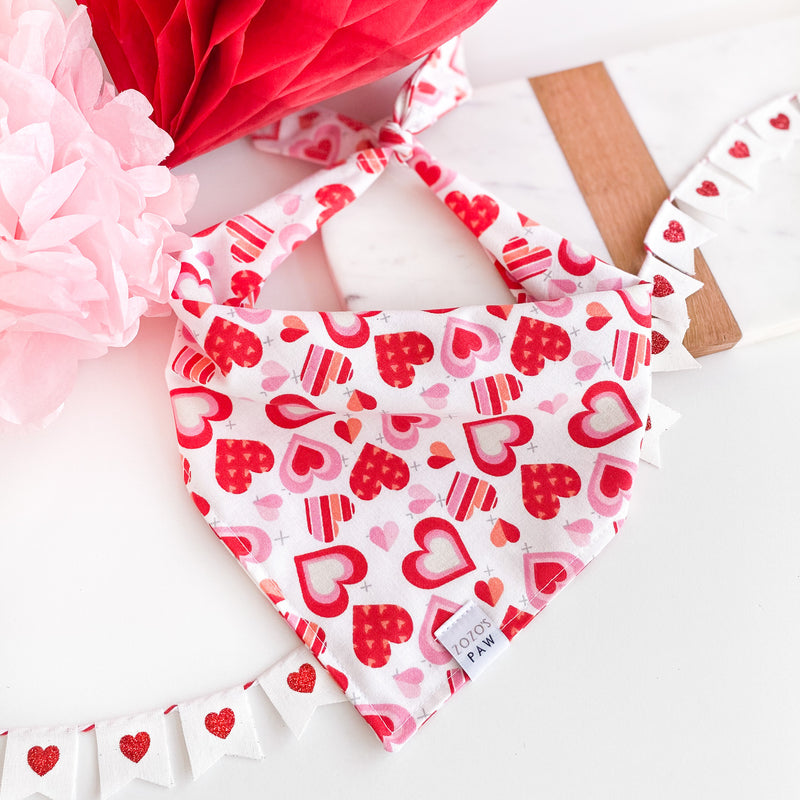 Soul In Love Dog Bandana