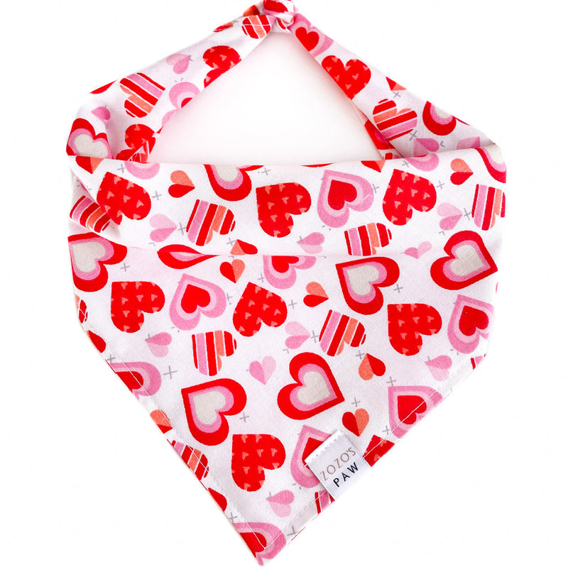 Soul In Love Dog Bandana