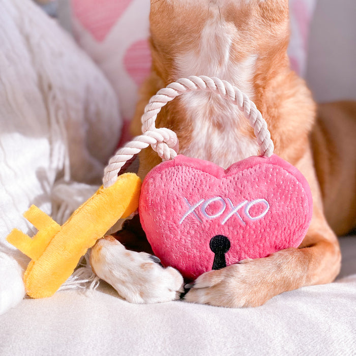Love You a Lock Dog Toy