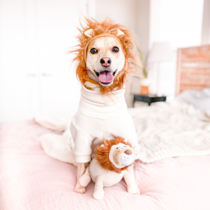 Lion Dog Toy