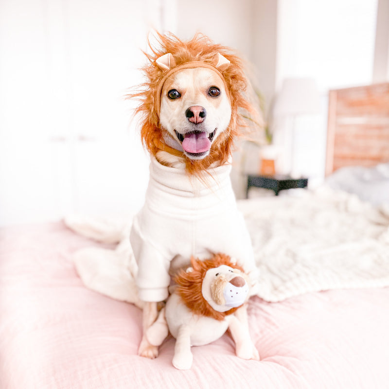 Lion Dog Toy