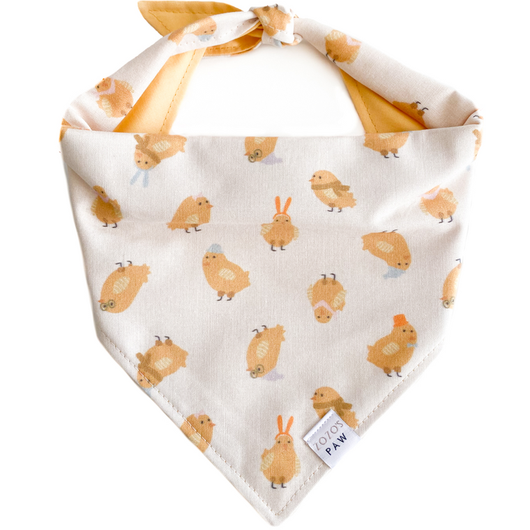 Chick Magnet Dog Bandana