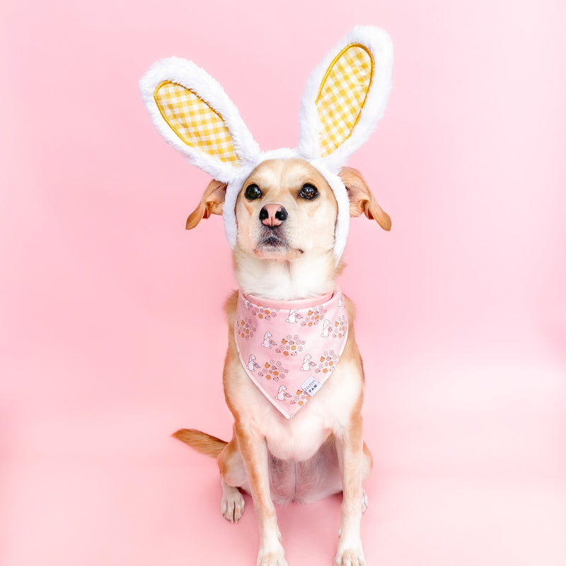 Blooming Bunnies Dog Bandana