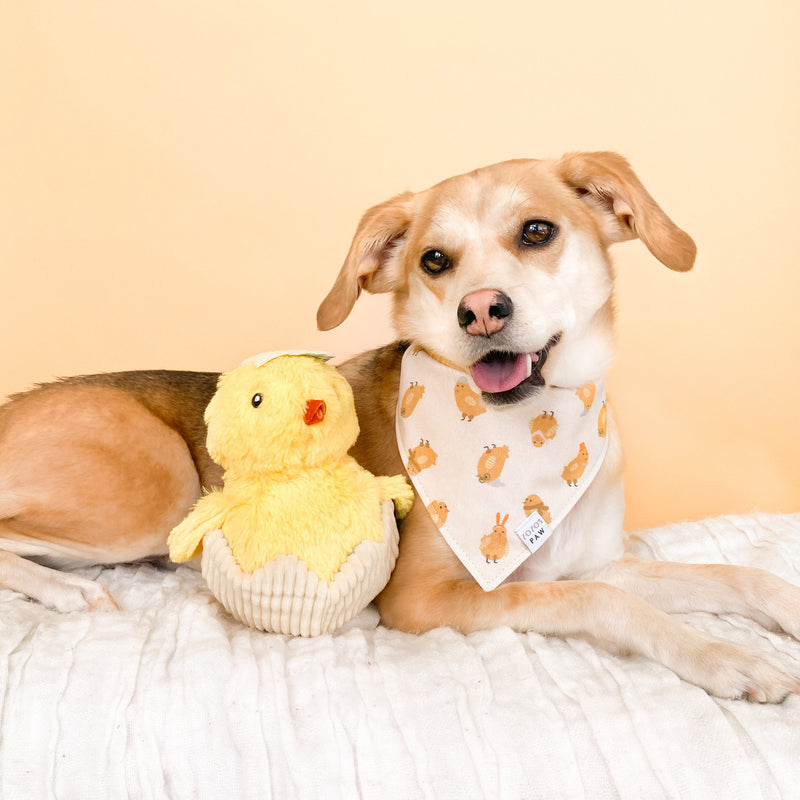 Chick Me Out Dog Toy