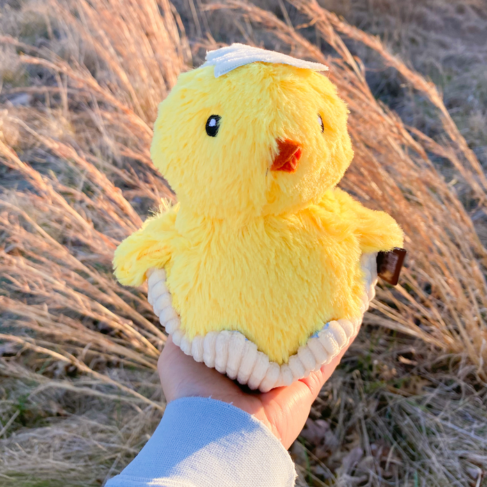 Chick Me Out Dog Toy